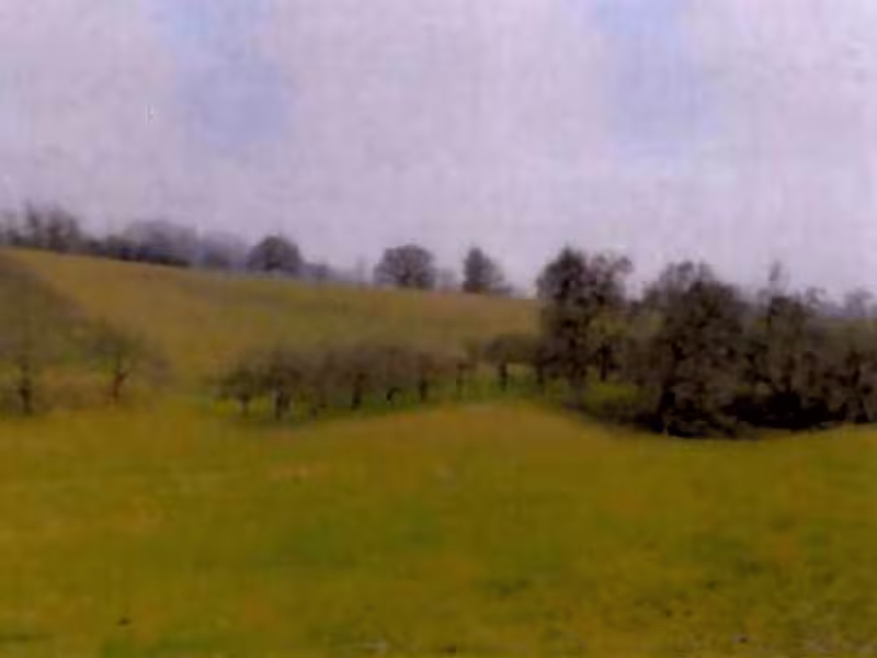 Landwirtschaftsflächen in Neuenstein - Bild 1