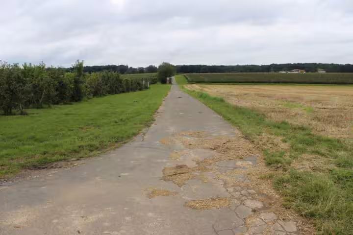 unbebautes Grundstück, land- und frostwirtschaftlich genutztes Grundstück in Wachtberg - Bild 4