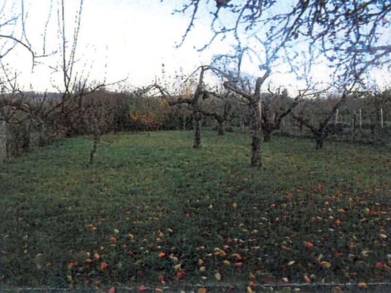 Freizeitfläche mit Streuobstwiese in Heilbronn - Bild 1