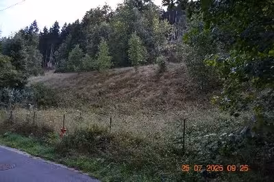 unbebautes Grundstück, land- und forstwirtschaftlich genutztes Grundstück in 000, 98724 Neuhaus am Rennweg, OT Lichte - Bild 2