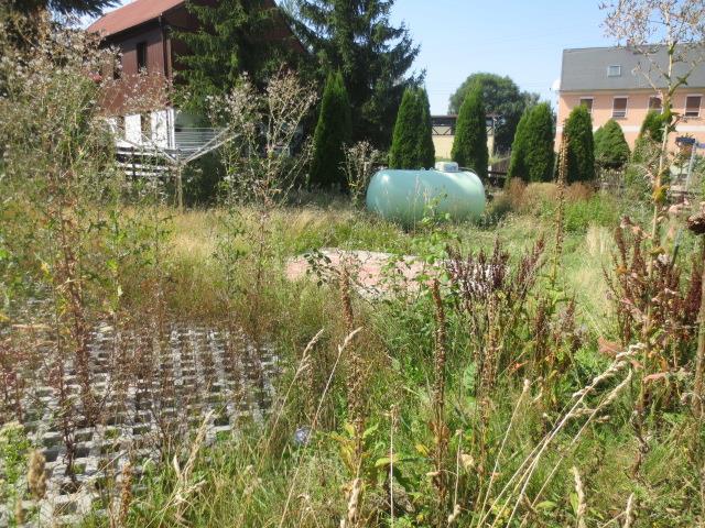 Einfamilienhaus in Zwickau - Bild 3