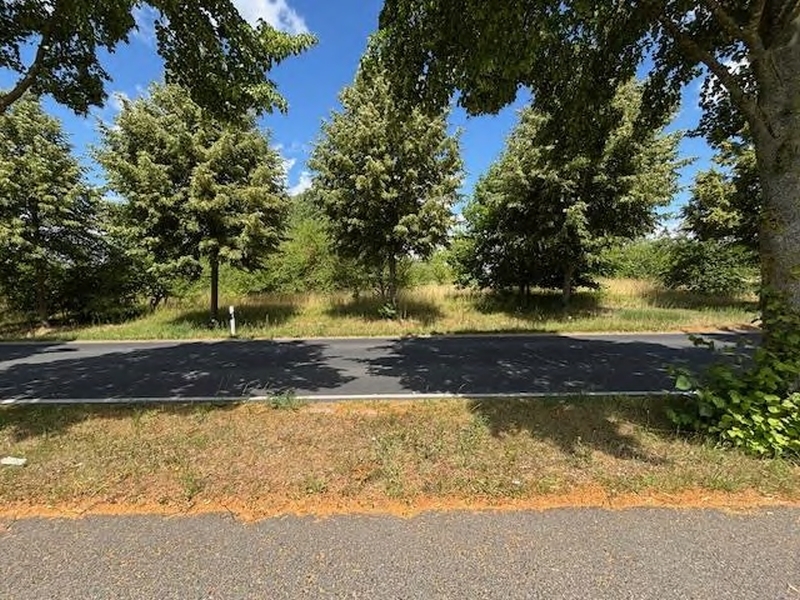 Abgrabungsflächen im Bergwerksfeld 'Neubrandenburg-Spargelberg' in Neubrandenburg - Bild 1