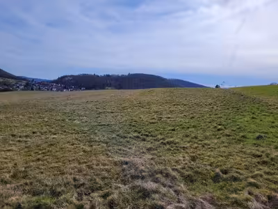 land- und forstwirtschaftlich genutztes Grundstück in Unter dem Graben, 35239 Steffenberg, Niedereisenhausen - Bild 2