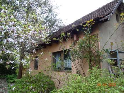 Gartengrundstück in Dohna - Bild 1