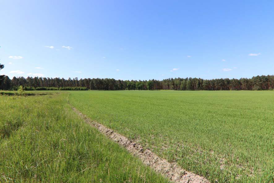 unbebautes Grundstück, land- und forstwirtschaftlich genutztes Grundstück in Boxberg/O.L. - Bild 3