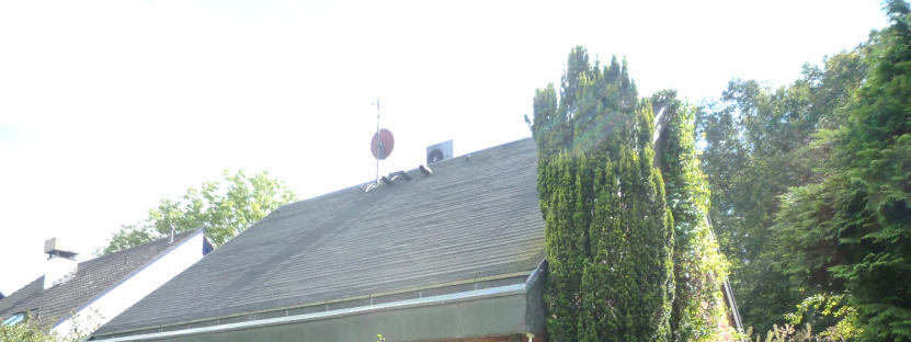 Garage, Einfamilienhaus in Münster - Bild 2