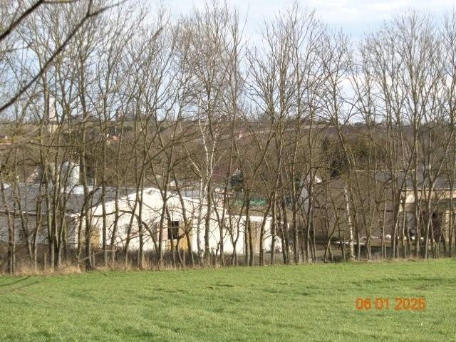 land- und forstwirtschaftlich genutztes Grundstück in Niederroßla - Bild 3