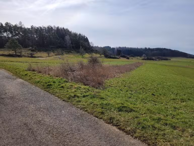 land- und forstwirtschaftlich genutztes Grundstück in Steffenberg - Bild 8