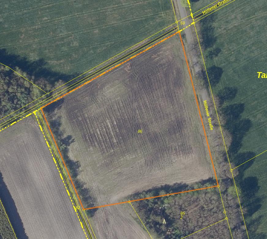 land- und forstwirtschaftlich genutztes Grundstück in Saterland - Bild 1