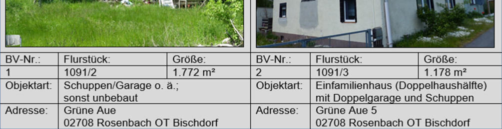 Garage, Abstellschuppen - Flst. 1091/2, Einfamilienwohnhaus - Flst. 1091/3 in Rosenbach - Bild 4