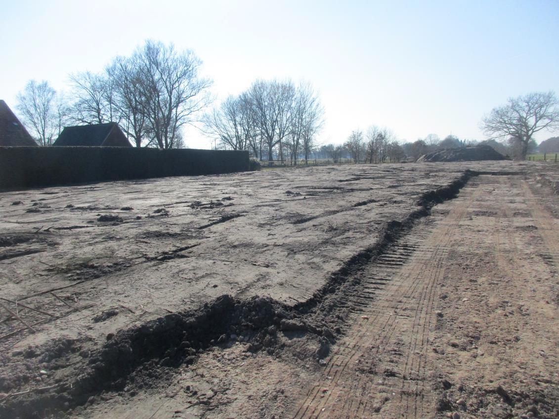 Baugrundstück in Papenburg - Bild 3