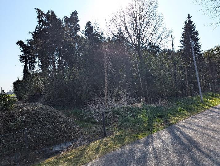 Sonstiges, Landwirtschaftsfläche und Waldfläche in Bunde - Bild 3