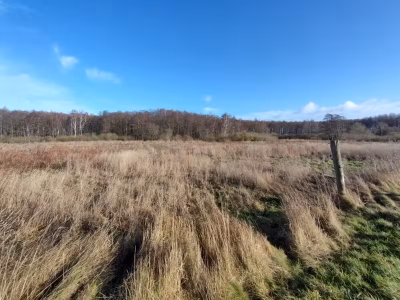Mehrere Grundstücke der Land-/Forstwirtschaft in Bergen auf Rügen - Bild 4