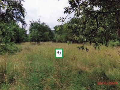 Landwirtschaftsflächen in , 71394 Kernen-Rommelshausen - Bild 2