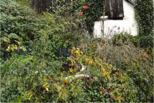 Einfamilienhaus, siehe Beschreibung in Marktrodach - Bild 4