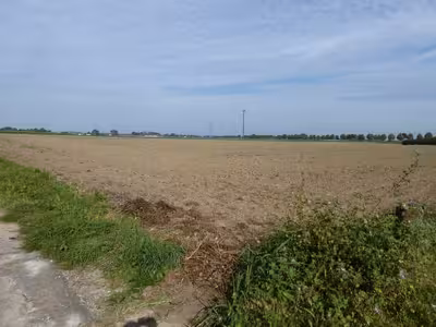 landwirtschaftliche Nutzfläche, welche z. Zt. als Acker genutzt wird in Auf der Hardt, 47877 Willich - Bild 2