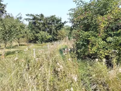 Einfamilienhaus (Doppelhaushälfte) mit Carport in Am Sonnenberg 40, 19412 Kuhlen - Bild 2