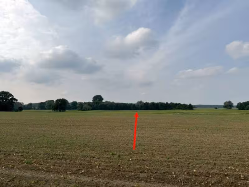 Landwirtschaftliche Nutzflächen in Utzedel - Bild 1