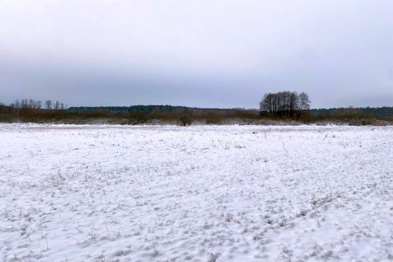 Grünland im Naturschutzgebiet in Wandlitz - Bild 1