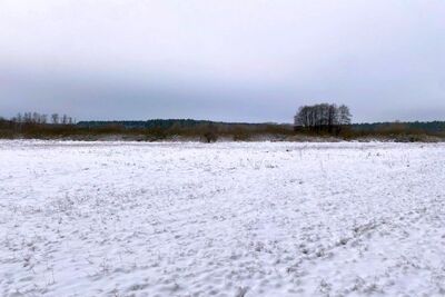 Grünland im Naturschutzgebiet in , 16348 Wandlitz, Klosterfelde - Bild 1