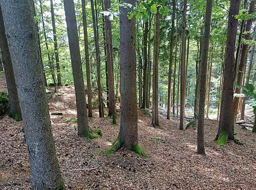 unbebautes Grundstück in Lahr/Schwarzwald - Bild 3