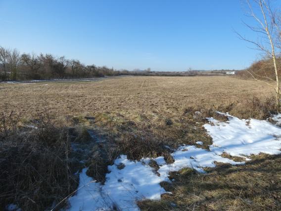 land- und forstwirtschaftlich genutztes Grundstück in Dietersdorf - Bild 1