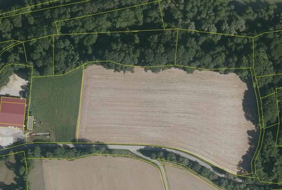 land- und forstwirtschaftlich genutztes Grundstück in Loichinger Leiten, 84183 Niederviehbach - Bild 1