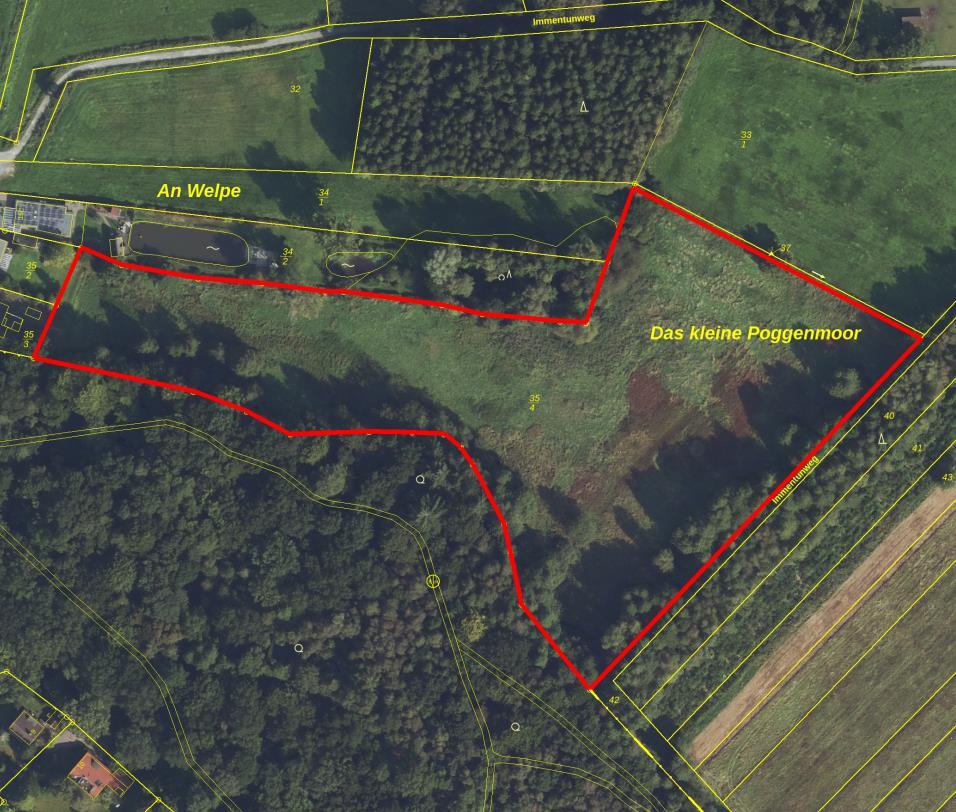 land- und forstwirtschaftlich genutztes Grundstück in Vechta - Bild 1