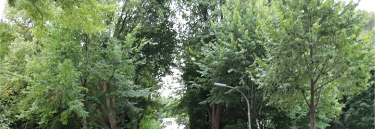 Eigentumswohnung (3 bis 4 Zimmer) in Dortmund - Bild 3