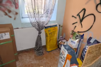 Wohn-/Geschäftshaus in Kottmar - Bild 16