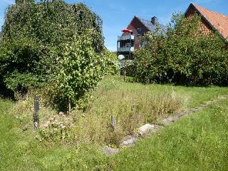 Einfamilienhaus in Meerbeck bei Stadthagen - Bild 4