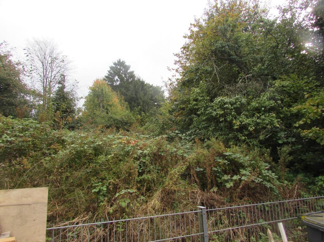 unbebautes Grundstück,  in der Gemarkung Bensberg-Freiheit in Bergisch Gladbach - Bild 2