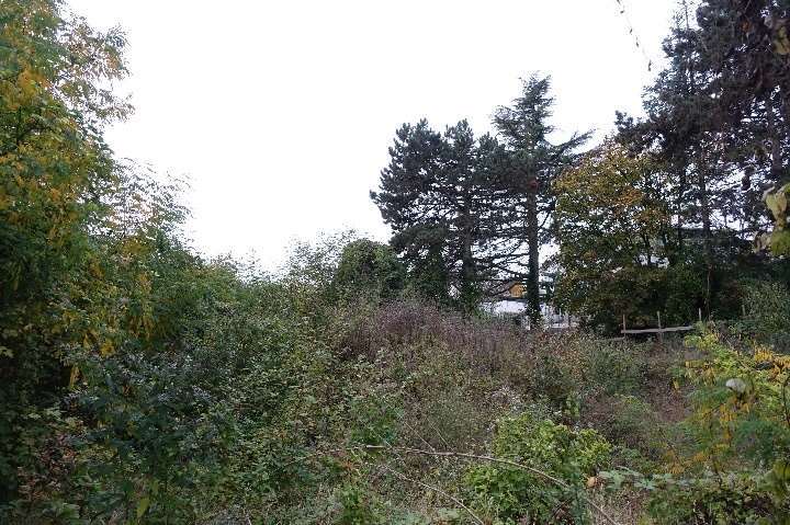 Baugrundstück, unbebautes Grundstück in Wiesbaden - Bild 3