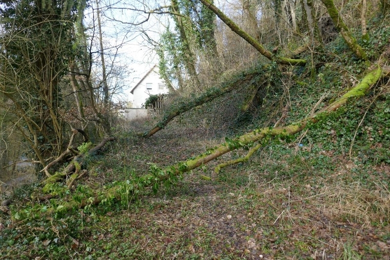 Einfamilienwohnhaus mit Garage und unbebautes Grundstück in Öhringen - Bild 2