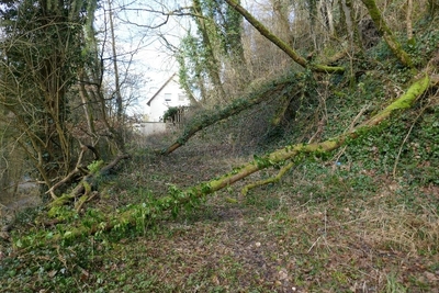 Einfamilienwohnhaus mit Garage und unbebautes Grundstück in Pfahlbachweg 13, 74613 Öhringen - Bild 2