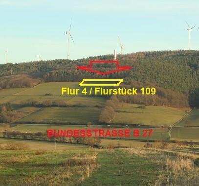 land- und forstwirtschaftlich genutztes Grundstück in Mauers - Bild 1