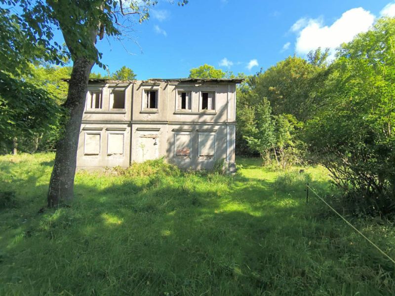 Land-/Forstwirtschaftsflächen und Grundstück mit ruinösem Haus in Sagard - Bild 3