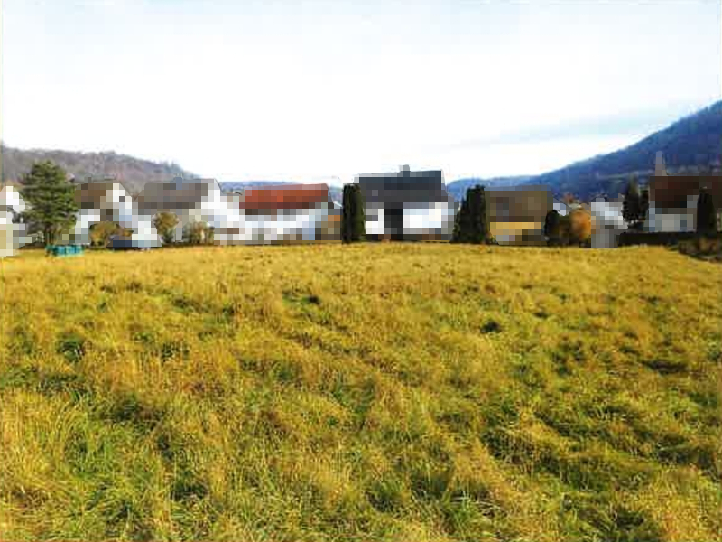 Landwirtschaftliches Grünland in Oberkochen - Bild 1