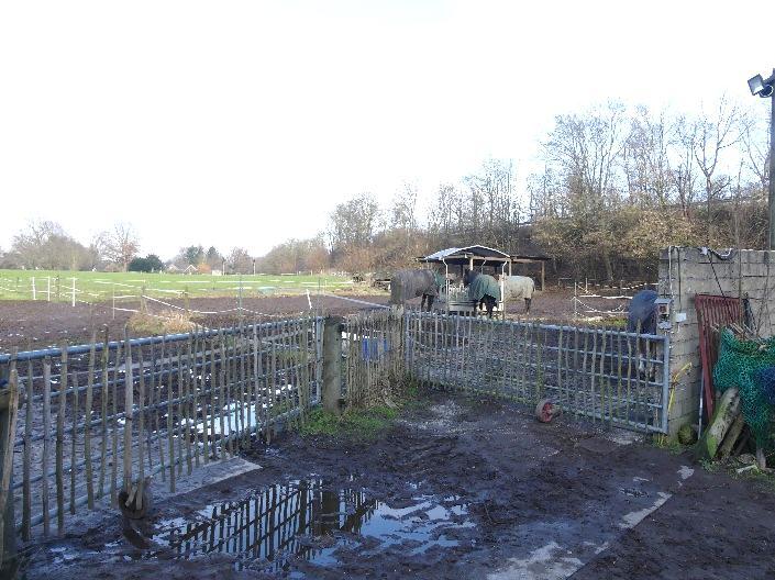 landwirtschaftlich genutztes Wirtschaftsgebäude mit Nebengebäuden und Grünland in Kempen - Bild 2