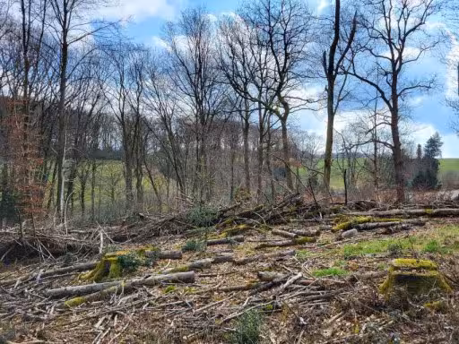 land- und forstwirtschaftlich genutztes Grundstück in Burscheid - Bild 2