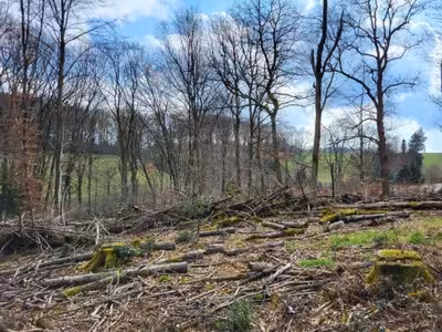 land- und forstwirtschaftlich genutztes Grundstück in Am Fischels, 51399 Burscheid, Paffenlöh - Bild 2