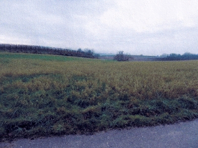 Ackerlandgrundstück in , 69168 Wiesloch - Bild 1