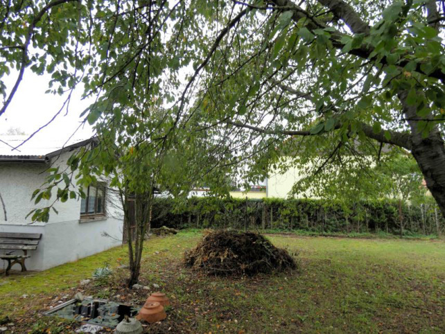 Sonstiges in Arnstadt - Bild 3