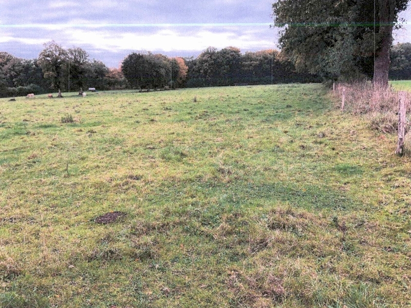 Landwirtschaftliche Nutzfläche (Dauergrünland) in Schafstedt - Bild 2