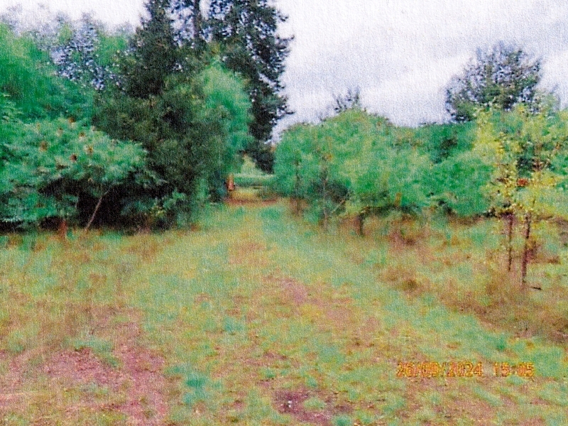 2/3 Miteigentumsanteil an bebautem Grundstück in Fürstenwalde/Spree - Bild 4