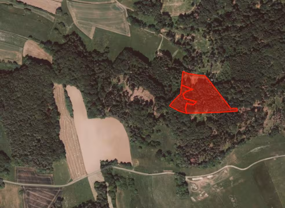 land- und forstwirtschaftlich genutztes Grundstück, s. Beschreibung in Lichtenfels - Bild 1