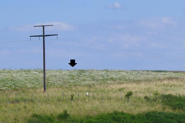land- und forstwirtschaftlich genutztes Grundstück in Wetzlar - Bild 4