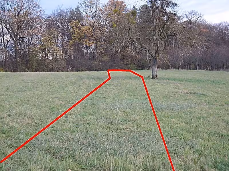 Landwirtschaftsfläche in Aichtal - Bild 1