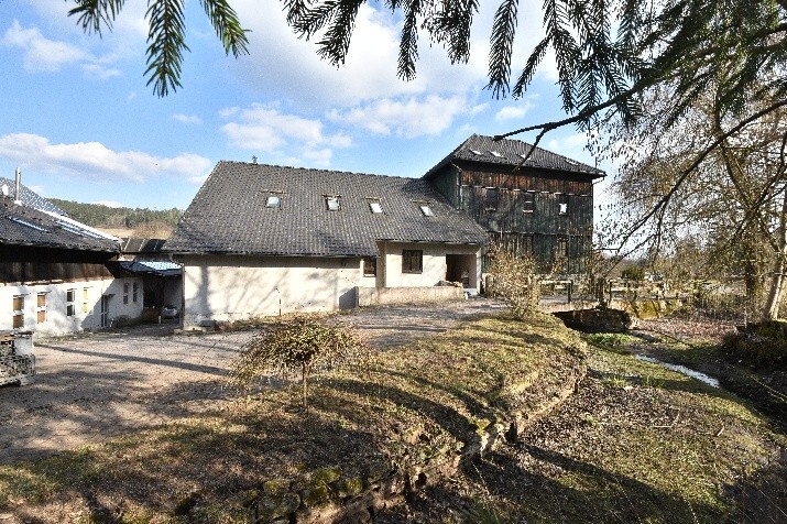 Eigentumswohnung (ab 5 Zimmer) in Schalkau - Bild 4