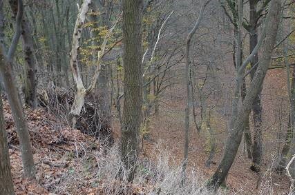 Einfamilienhaus, Wochenendhaus in Bad Salzungen - Bild 3